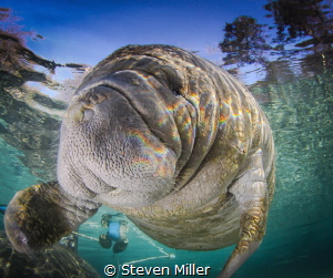 Rainbow reflections from the surface chop made a prism ef... by Steven Miller 